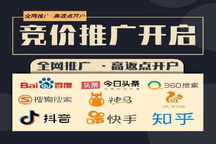 某企业通过SEO和SEM双管齐下实现业绩飞跃的案例